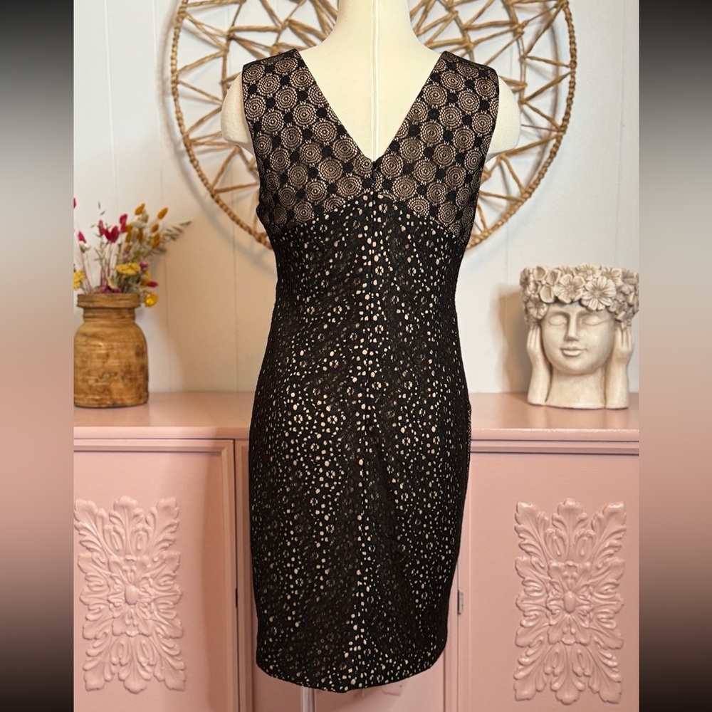 Women’s Large Heartloom fitted Elegant Black Lace Dress